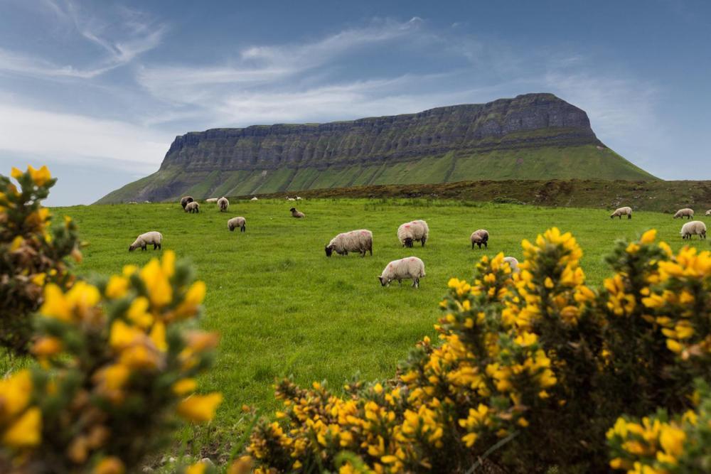 Milligan Court Apartments Sligo Eksteriør bilde